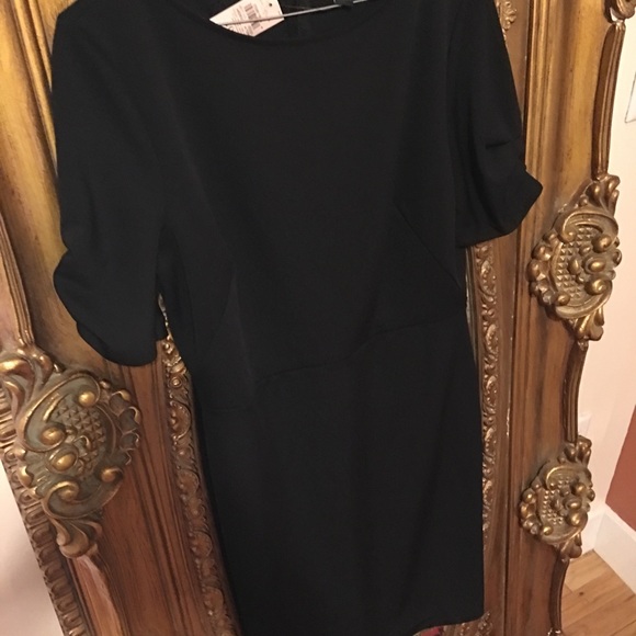 Ann Taylor Dress - Picture 1 of 6